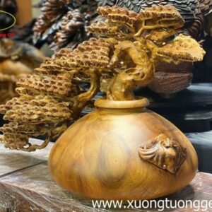 Tiểu Cảnh Bon Sai Cây Tùng