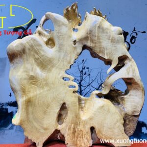 Song Long Gỗ Dổi
