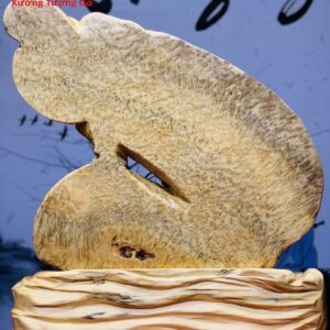 Đạt Ma Múa Võ Đế Sóng