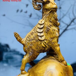 Dê Đứng Bao Tiền Hương Ta