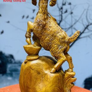 Dê Đứng Bao Tiền Hương Ta