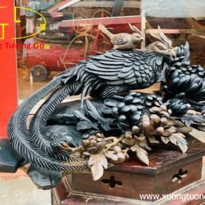 Chim Trĩ Mun Sừng