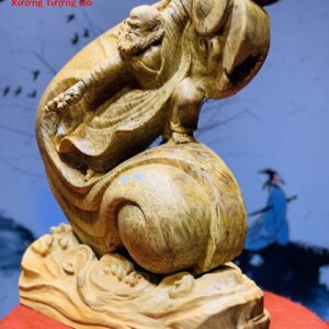 Đạt Ma Múa Võ Đế Sóng