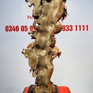 Nhất Long Tam Ngọc Gỗ Sưa