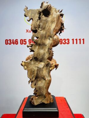 Nhất Long Tam Ngọc Gỗ Sưa