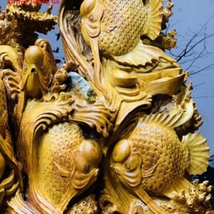 Cá La Hán Gỗ Hương Ta