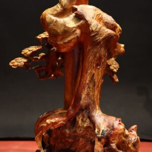 Bình Bon Sai Gỗ Hương