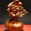 Bình Bon Sai Gỗ Hương