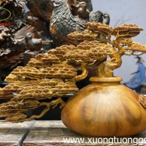 Tiểu Cảnh Bon Sai Cây Tùng