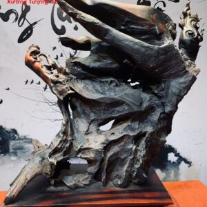 Đạt Ma Hàn Long Trắc
