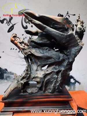 Đạt Ma Hàn Long Trắc
