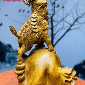 Dê Đứng Bao Tiền Hương Ta