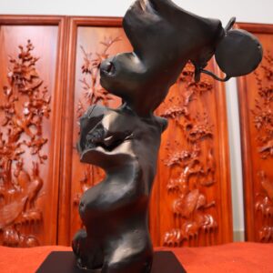 Sư Tổ Đạt Ma Múa Võ