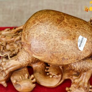 Long quy nu hương