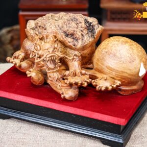 Long quy gỗ nu hương