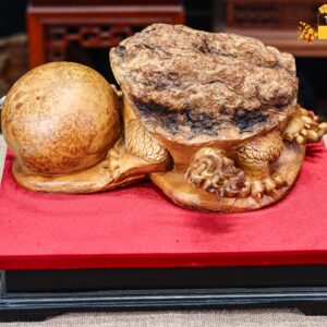 Long quy gỗ nu hương