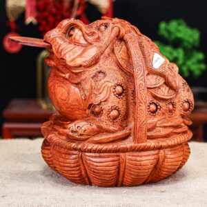 Thiềm thừ gỗ hương ngồi trong giỏ