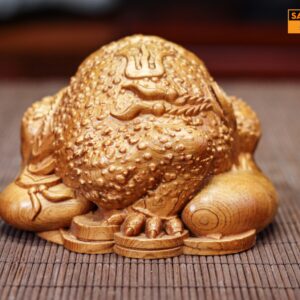 Thiềm thử mini