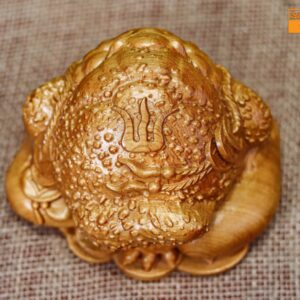 Thiềm thử mini