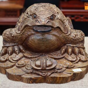 Thiềm thừ gỗ mun đuôi công
