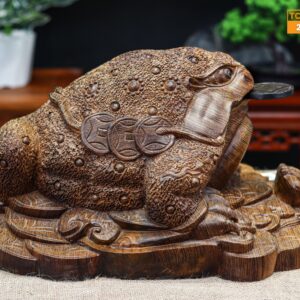 Thiềm thừ gỗ mun đuôi công