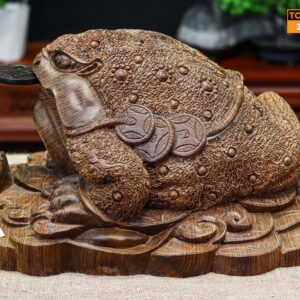 Thiềm thừ gỗ mun đuôi công