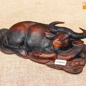 Trâu gỗ trắc