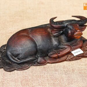 Trâu gỗ trắc