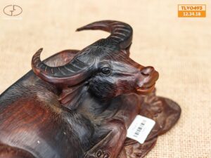 Trâu gỗ trắc