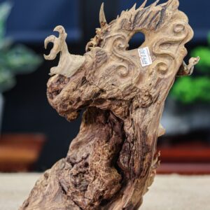 Nhất long nu thuỷ tùng