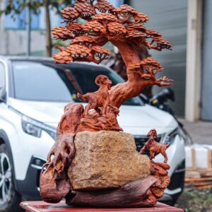 Tam Dương Khai Thái Ôm Đá Gỗ Hương
