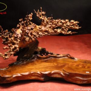 Khay Trà Hoa Mai Gỗ Hương