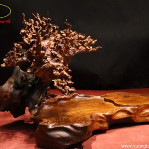 Khay Trà Hoa Mai Gỗ Hương