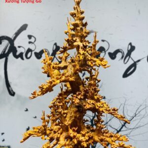 Bình  Mai Phú Quý Gỗ Hương