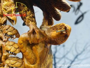 Đại Bàng Săn Mồi Đứng Cây Tùng Gỗ Hương