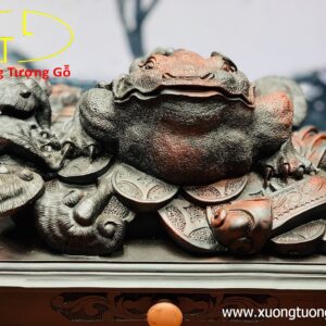 Thiềm thừ gỗ trắc.