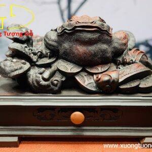 Thiềm thừ gỗ trắc.