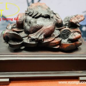 Thiềm thừ gỗ trắc.
