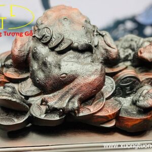 Thiềm thừ gỗ trắc.