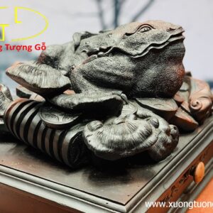 Thiềm thừ gỗ trắc.