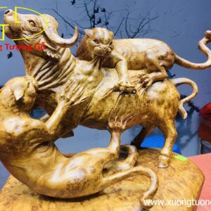 Sinh tồn( báo săn mồi) gỗ hương.