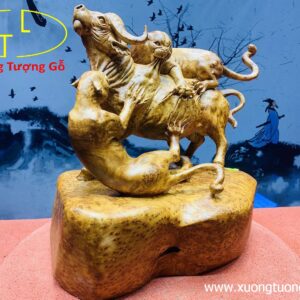 Sinh tồn( báo săn mồi) gỗ hương.