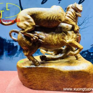 Sinh tồn( báo săn mồi) gỗ hương.