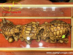 Gia đình long quy gỗ sưa
