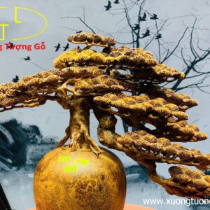 Bình tùng nu hương