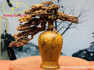 Bình tùng nu hương