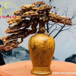 Bình tùng nu hương