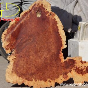 Diện Nhất tâm bái Phật gỗ nu hương.