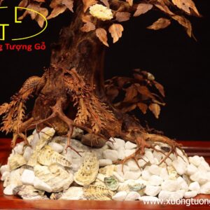 Cây ngà voi gỗ sưa