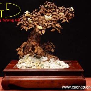 Cây ngà voi gỗ sưa